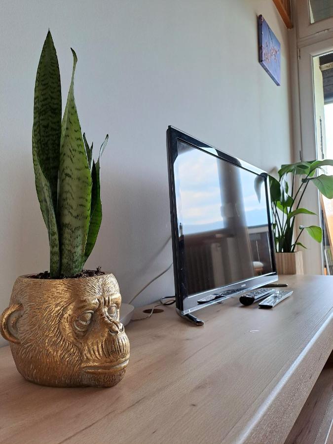 Apartment Sophie Bad Mitterndorf Zewnętrze zdjęcie